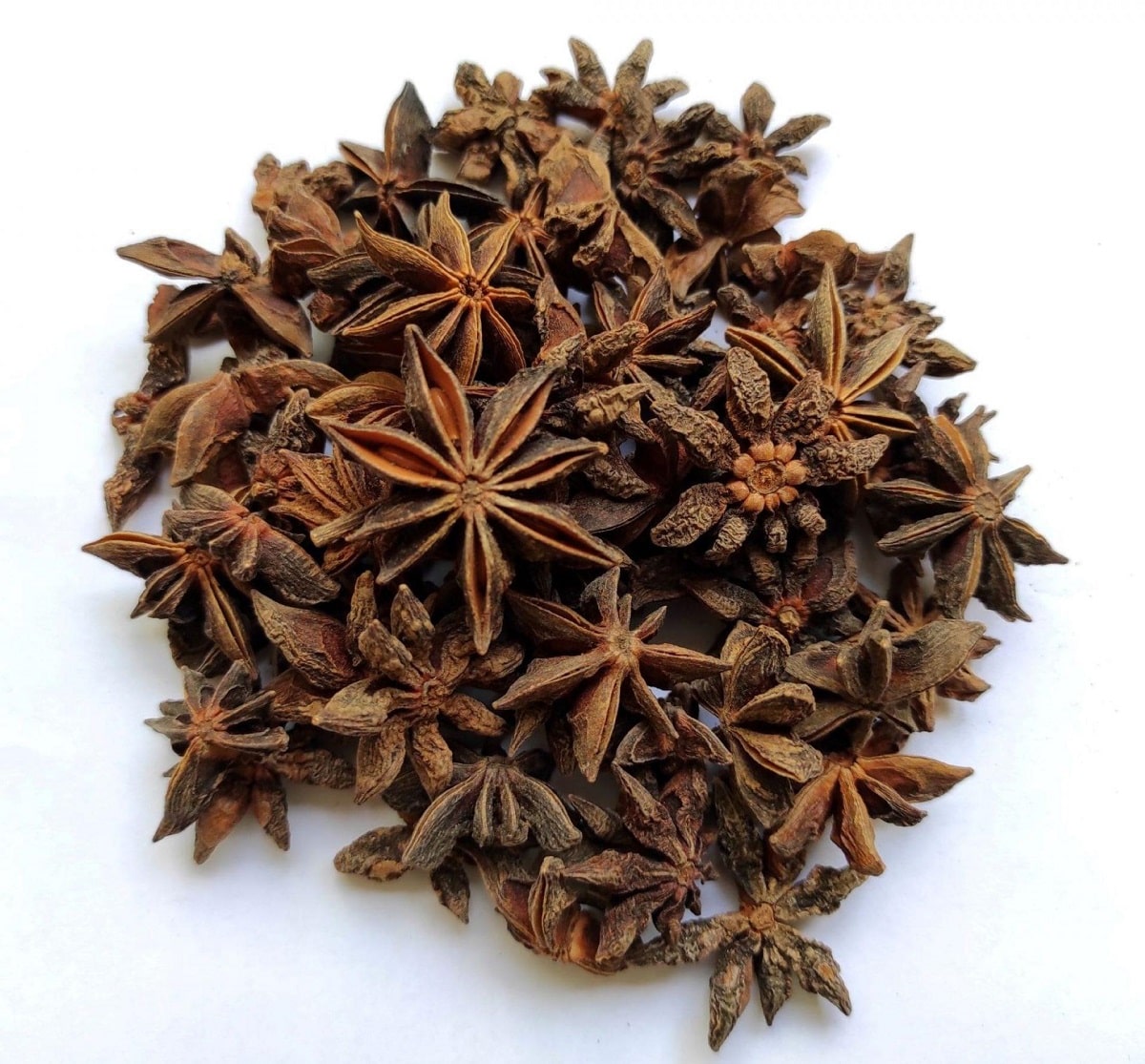 گیاه آنیسون