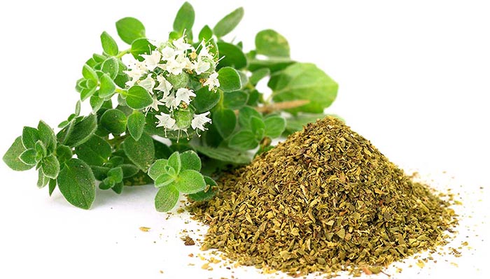 خواص آویشن