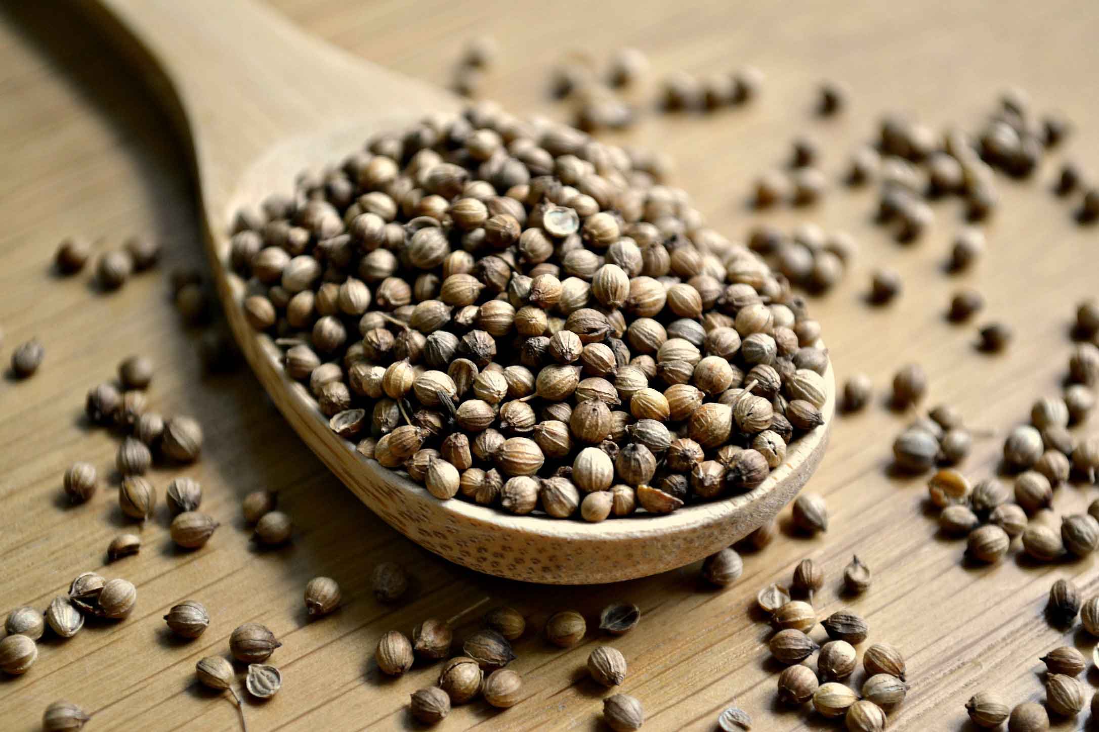 خواص گشنیز