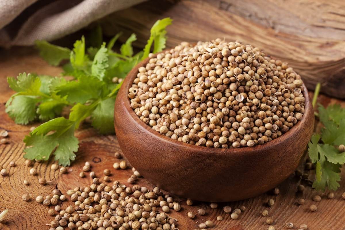 خواص گشنیز