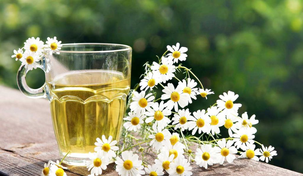 اسانس بابونه ، گل انگلیسی آلمانی با خواص بیشمار