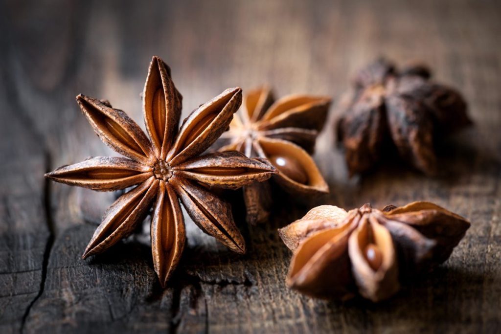 گیاه آنیسون